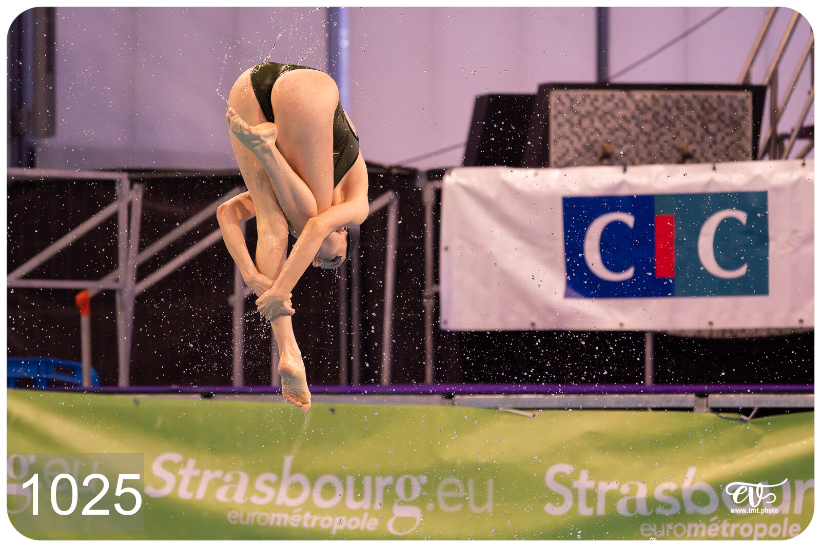CHAMPIONNAT DE FRANCE DE NATATiON ARTISTIQUE N1 & ELITE 2026